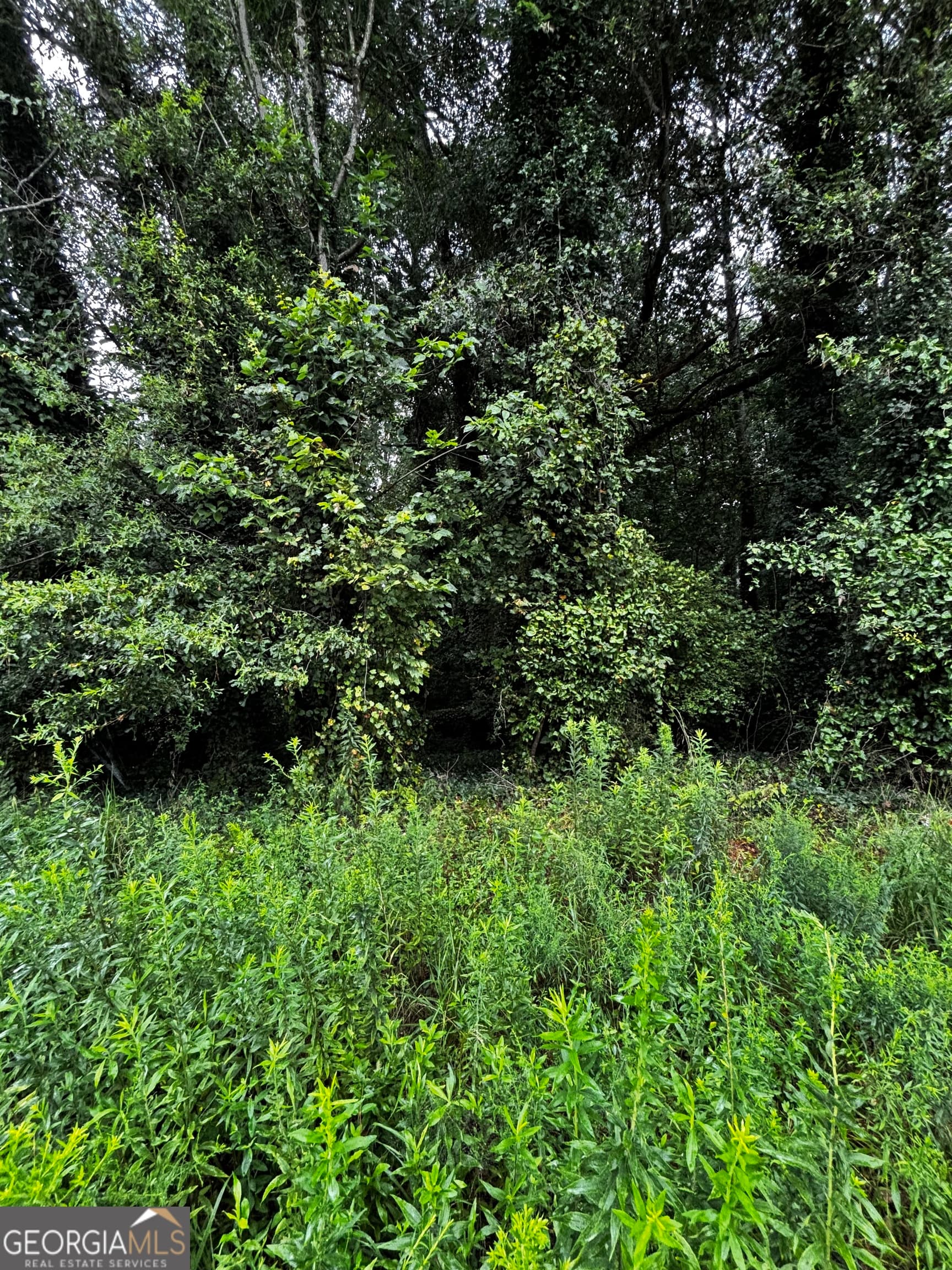 residential lot for sale at 8224 Freestone Drive, Jonesboro, GA 30236 — photo 4