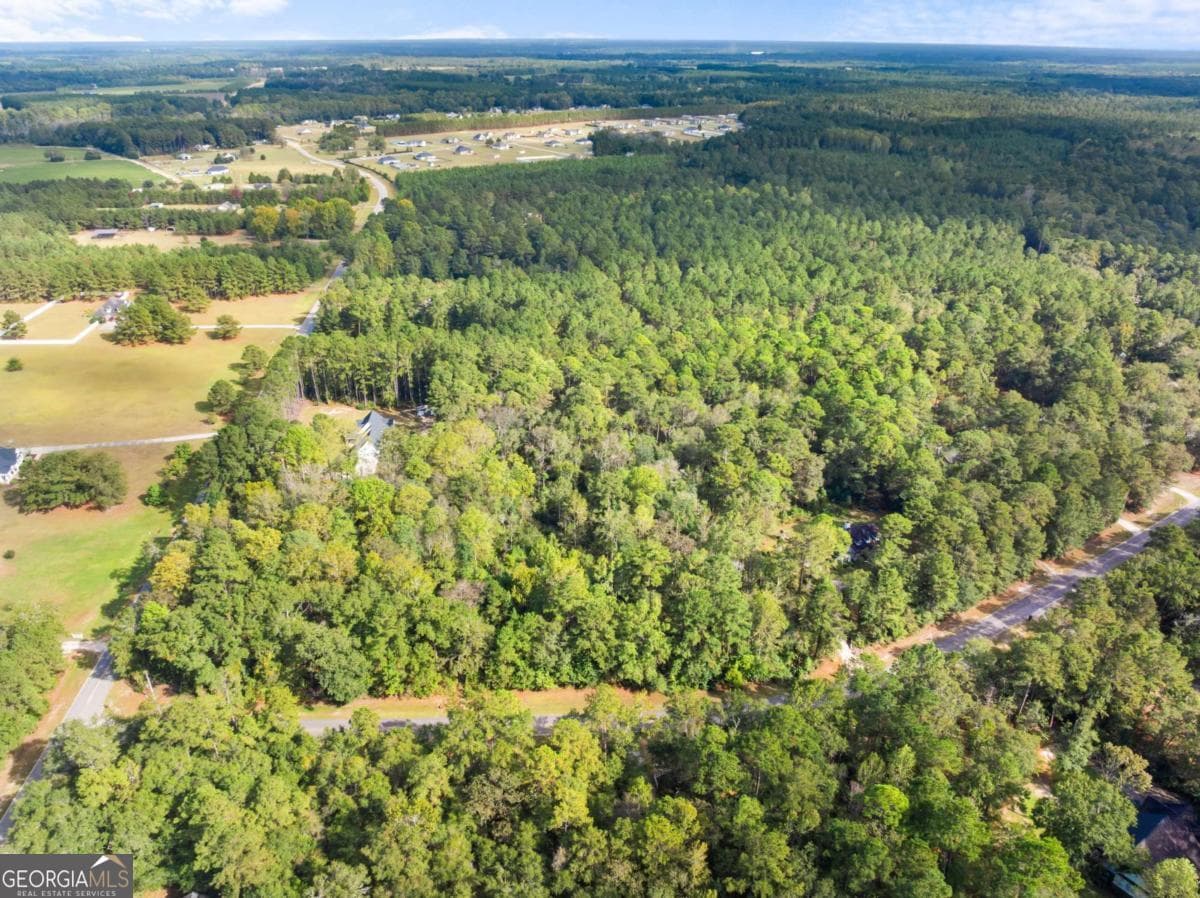 residential lot for sale at 0 Plantation Pointe Drive, Statesboro, GA 30461 — photo 7