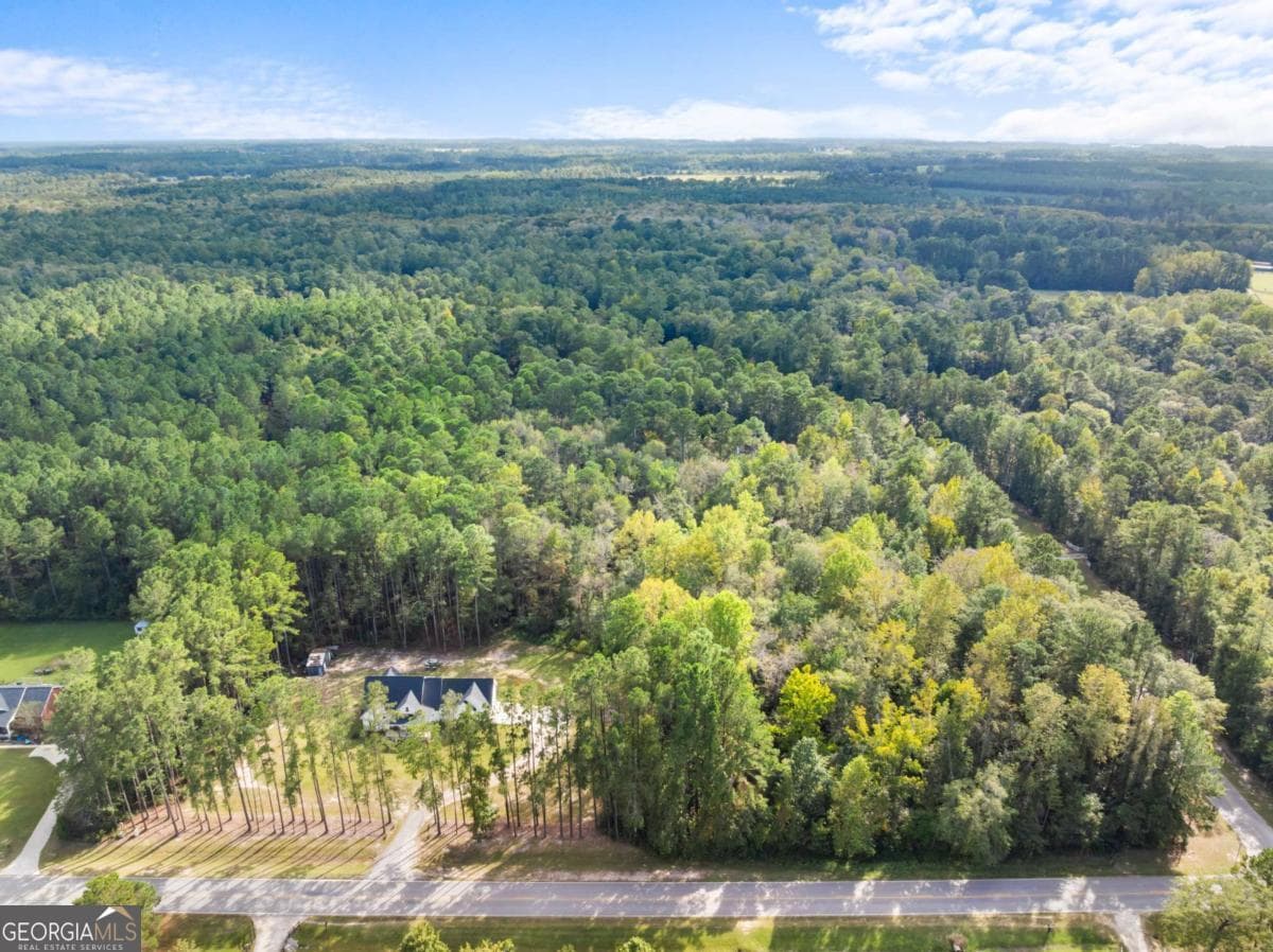 residential lot for sale at 0 Plantation Pointe Drive, Statesboro, GA 30461 — photo 5