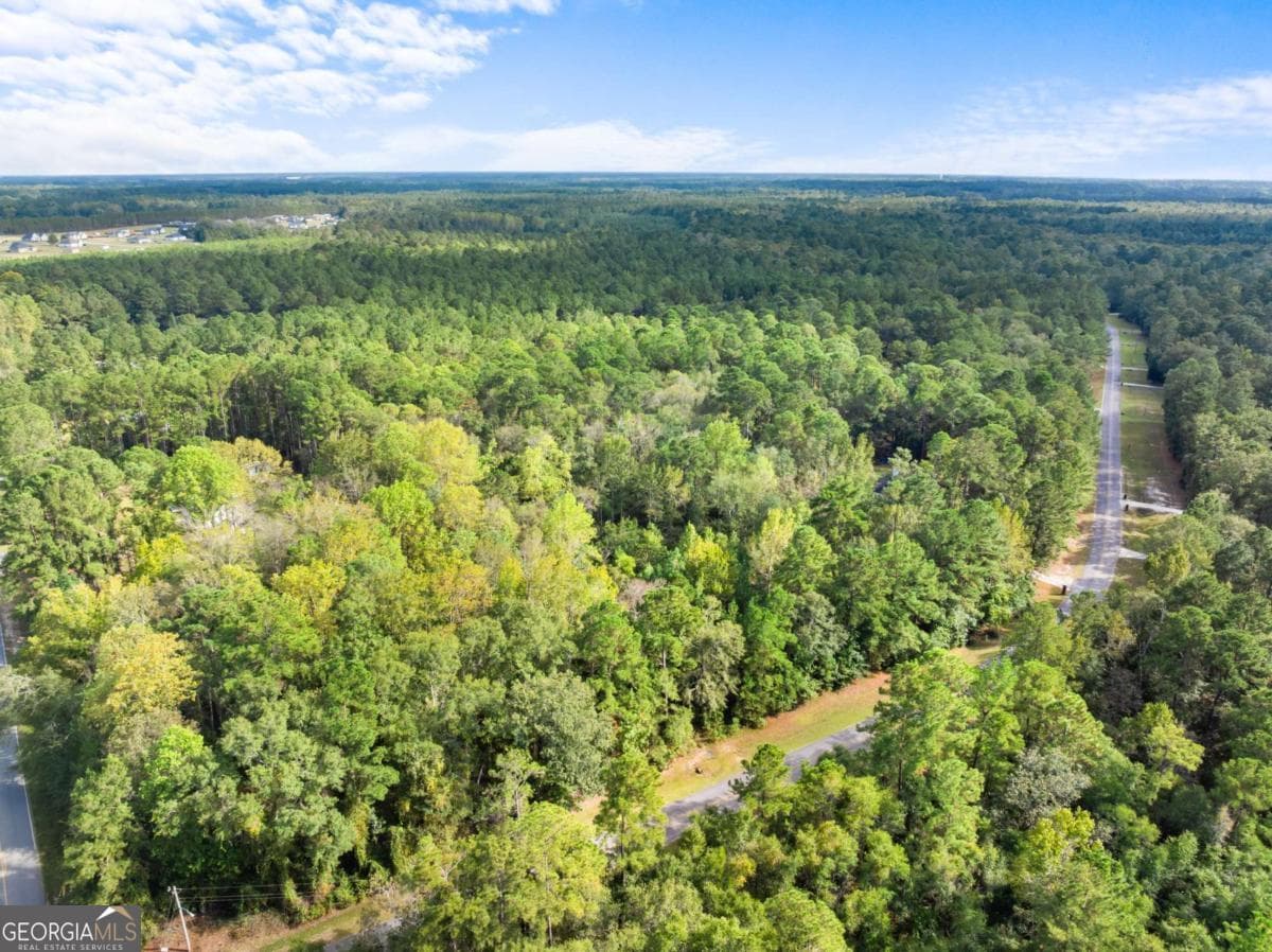 residential lot for sale at 0 Plantation Pointe Drive, Statesboro, GA 30461 — photo 9