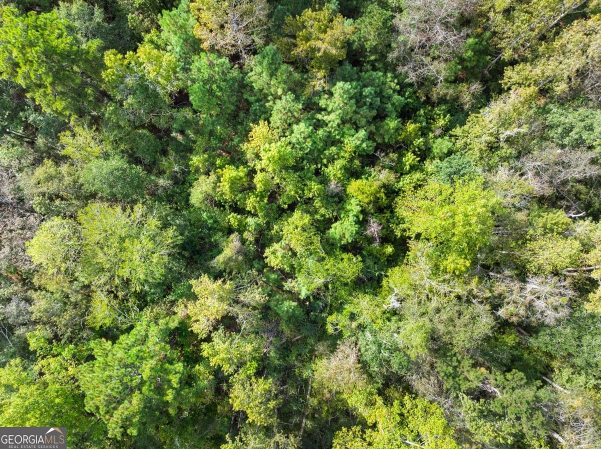 residential lot for sale at 0 Plantation Pointe Drive, Statesboro, GA 30461 — photo 4