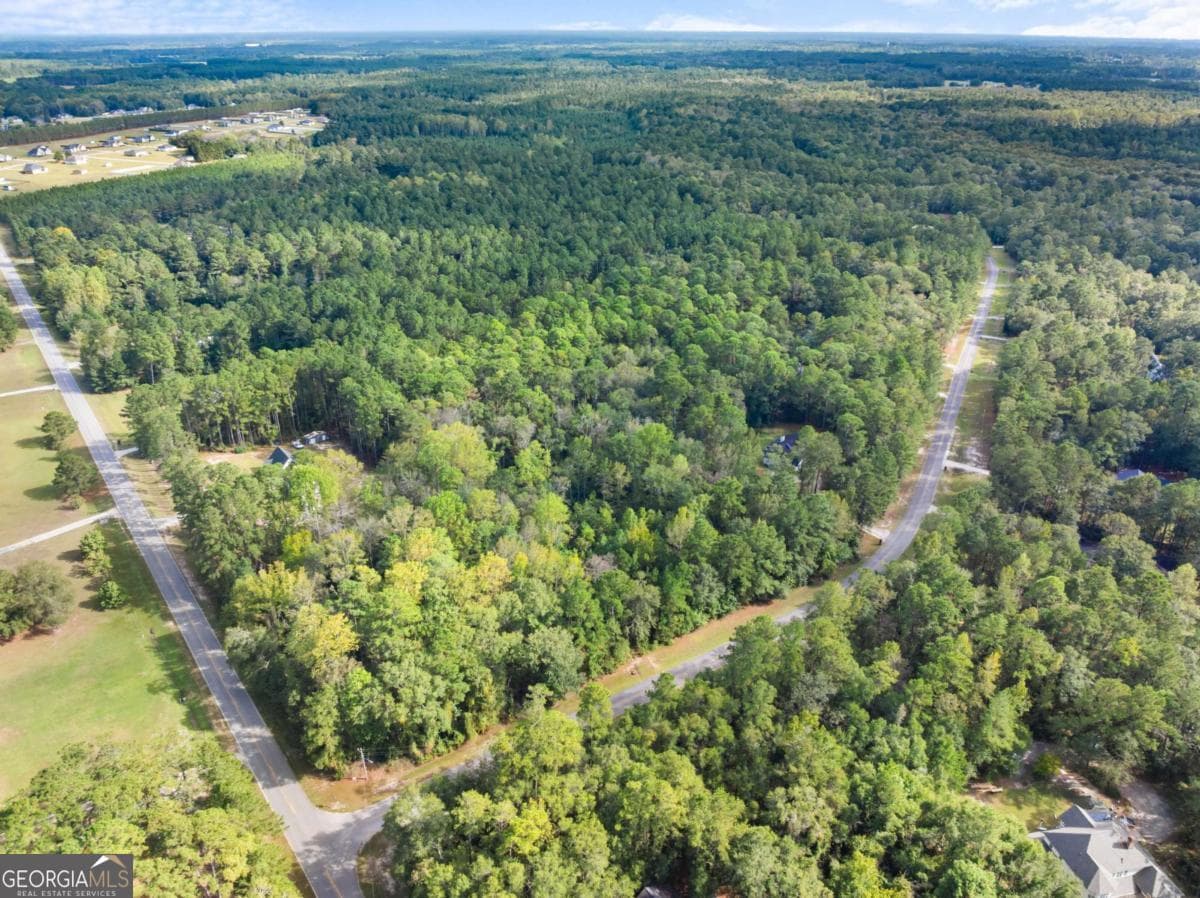 residential lot for sale at 0 Plantation Pointe Drive, Statesboro, GA 30461 — photo 8