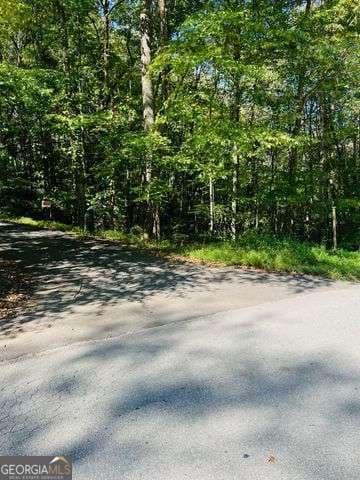 residential lot for sale at 4 Maxwell Mountain Road, Ellijay, GA 30540 — photo 2