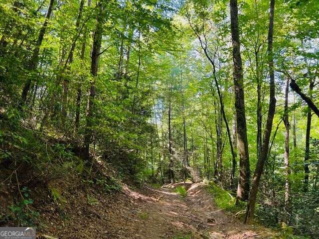 residential lot for sale at 4 Maxwell Mountain Road, Ellijay, GA 30540 — photo 6