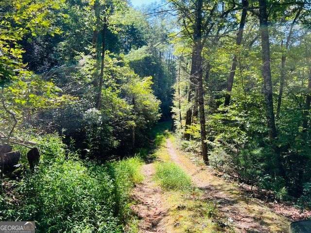 residential lot for sale at 4 Maxwell Mountain Road, Ellijay, GA 30540 — photo 7