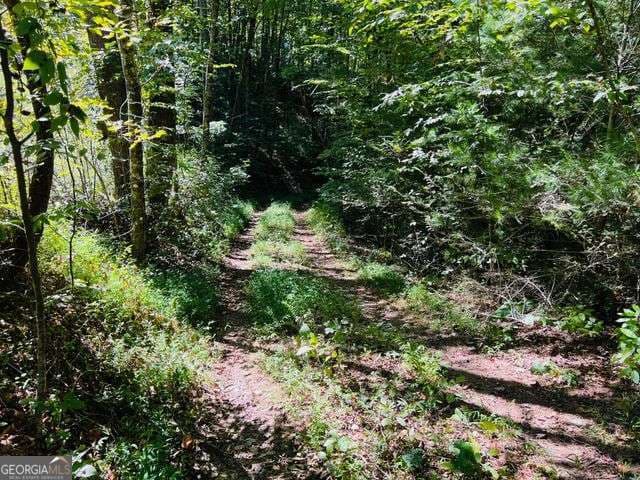 residential lot for sale at 4 Maxwell Mountain Road, Ellijay, GA 30540 — photo 3