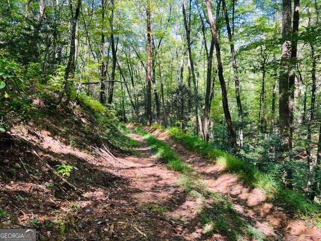residential lot for sale at 4 Maxwell Mountain Road, Ellijay, GA 30540 — photo 5
