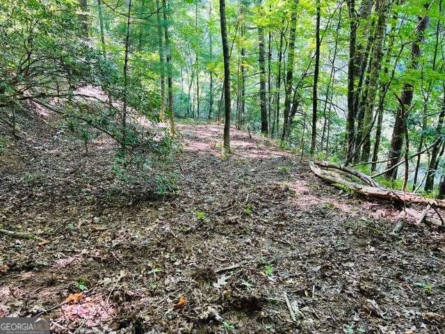 residential lot for sale at 4 Maxwell Mountain Road, Ellijay, GA 30540 — photo 9
