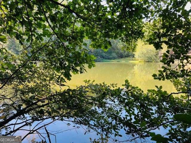 residential lot for sale at 4 Maxwell Mountain Road, Ellijay, GA 30540 — photo 10