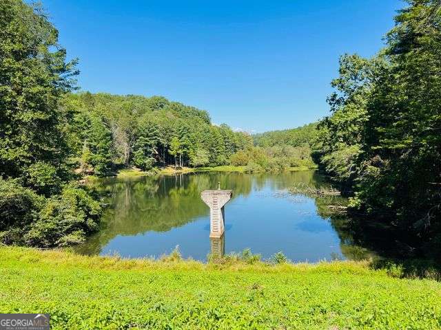 residential lot for sale at 4 Maxwell Mountain Road, Ellijay, GA 30540 — photo 8