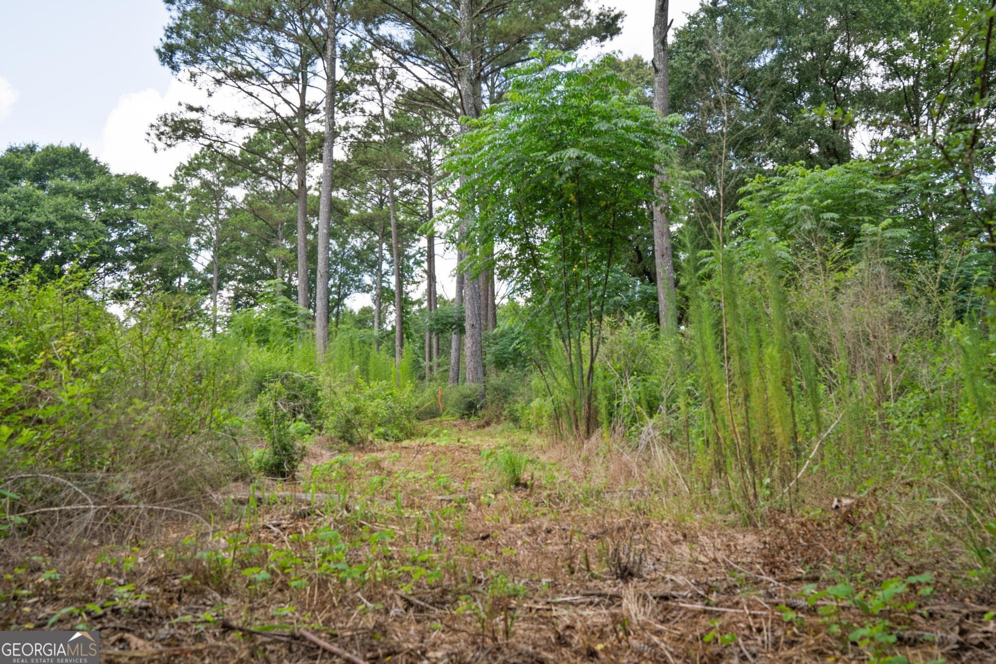 residential lot for sale at 79 Askin Place, Culloden, GA 31016 — photo 2