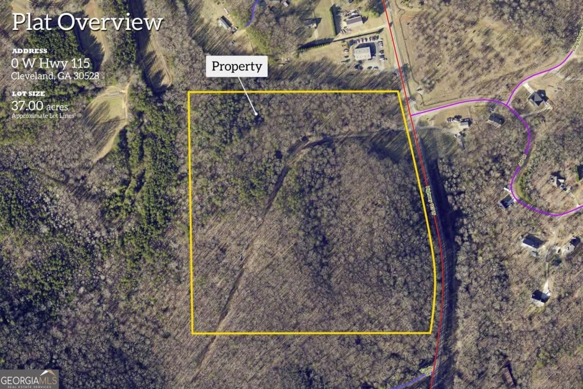 unimproved land for sale at 0 Highway 115, Cleveland, GA 30528 — photo 2