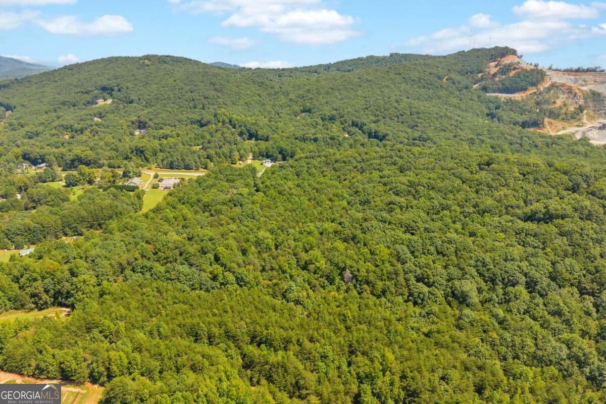 unimproved land for sale at 0 Highway 115, Cleveland, GA 30528 — photo 6