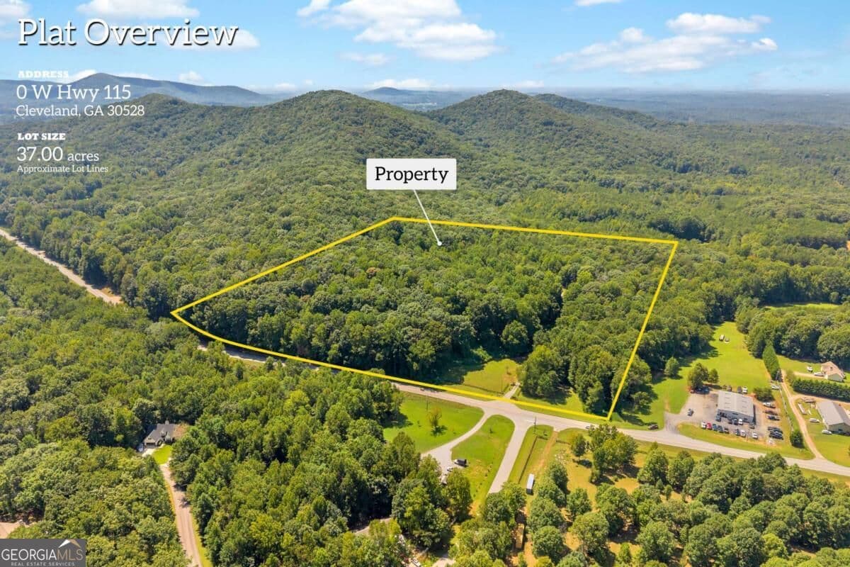 unimproved land for sale at 0 Highway 115, Cleveland, GA 30528 — photo 3