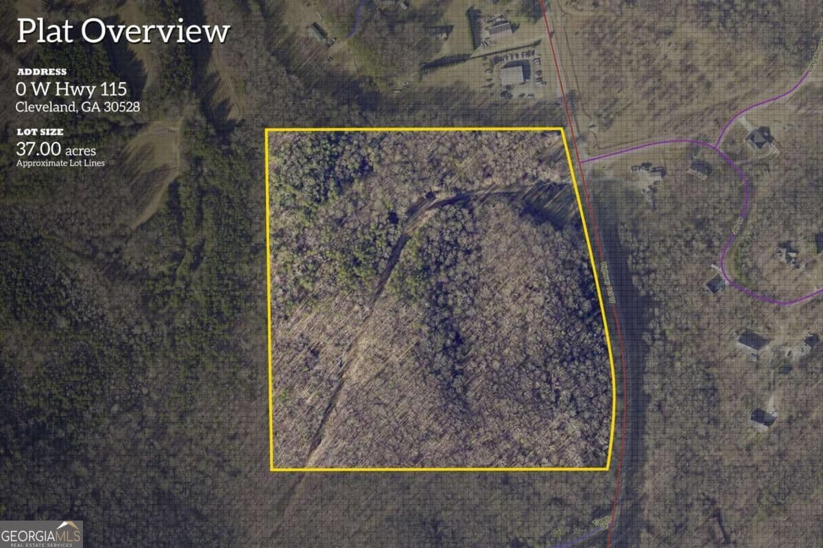 unimproved land for sale at 0 Highway 115, Cleveland, GA 30528 — photo 1 of 21