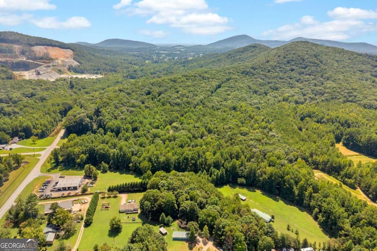 unimproved land for sale at 0 Highway 115, Cleveland, GA 30528 — photo 5