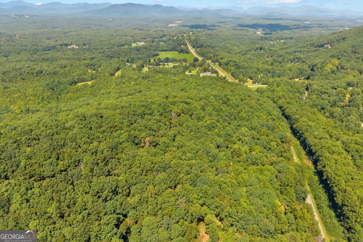unimproved land for sale at 0 Highway 115, Cleveland, GA 30528 — photo 9