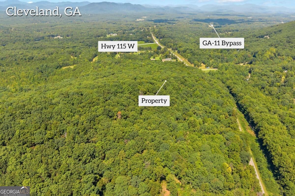 unimproved land for sale at 0 Highway 115, Cleveland, GA 30528 — photo 10