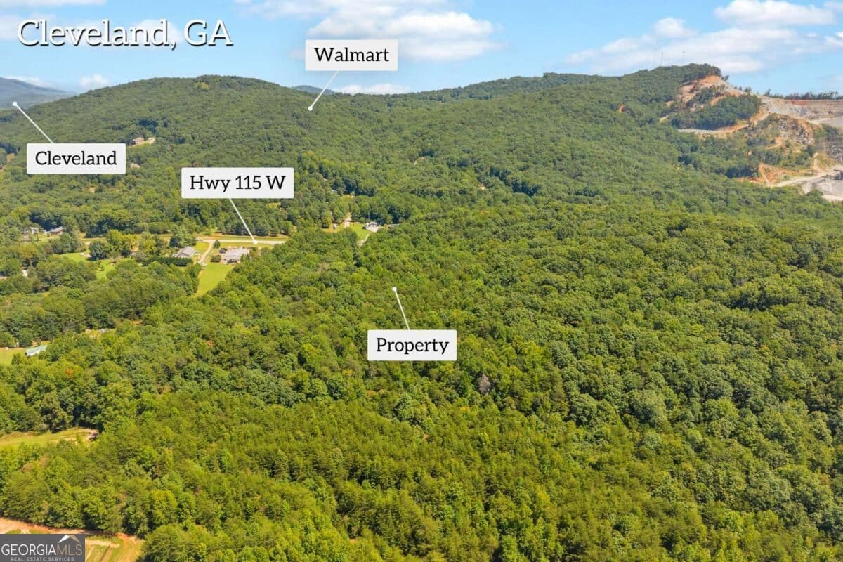 unimproved land for sale at 0 Highway 115, Cleveland, GA 30528 — photo 8