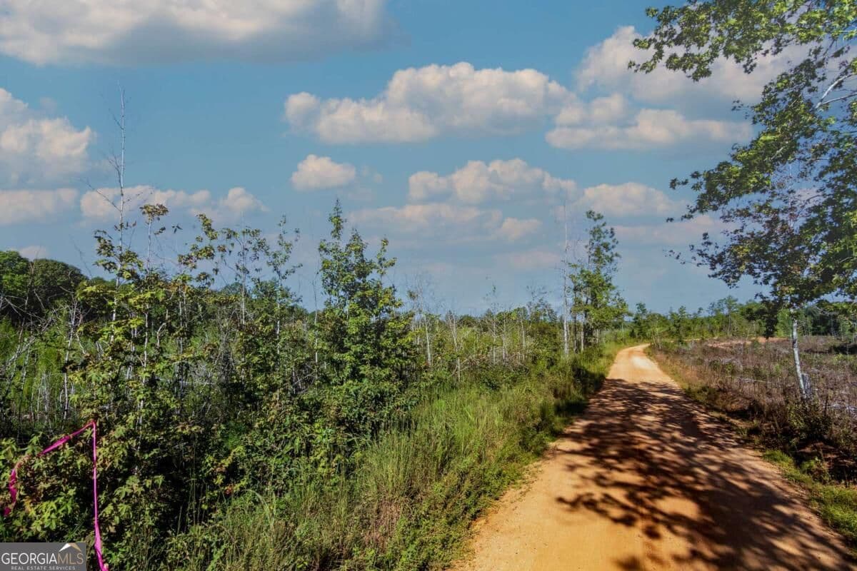 unimproved land for sale at TRACT 7 Carlisle Gap Road, Woodland, GA 31836 — photo 2