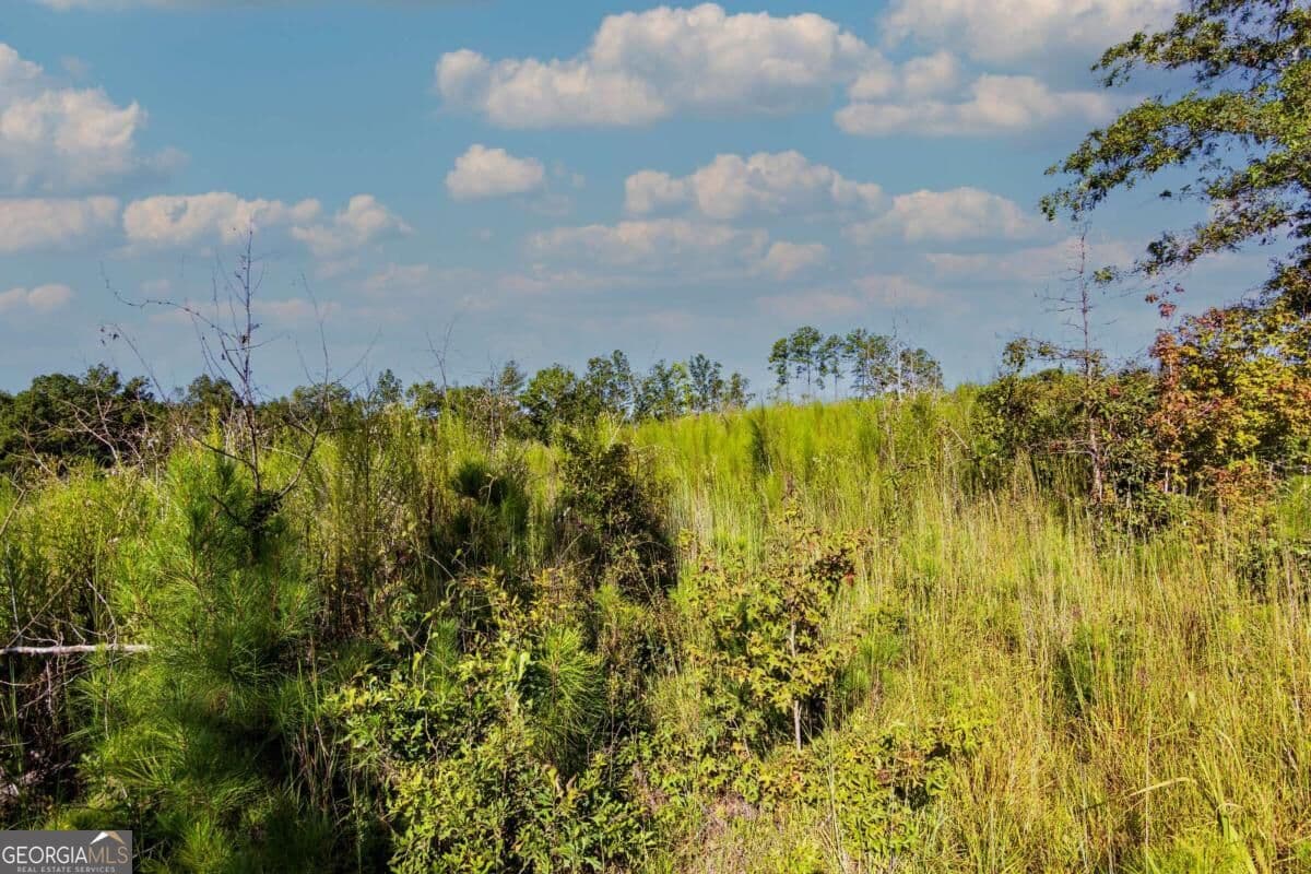 unimproved land for sale at TRACT 7 Carlisle Gap Road, Woodland, GA 31836 — photo 6
