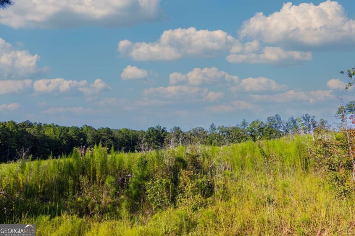 unimproved land for sale at TRACT 7 Carlisle Gap Road, Woodland, GA 31836 — photo 7