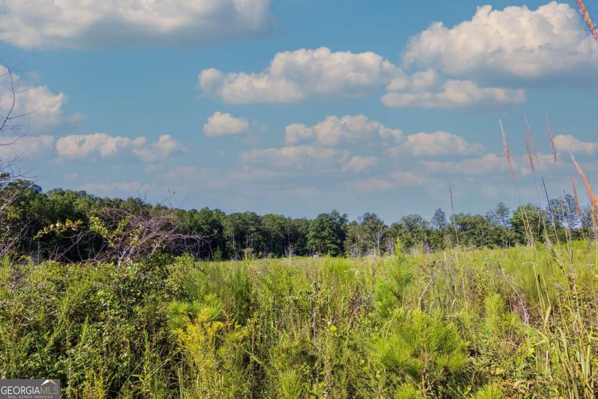 unimproved land for sale at TRACT 7 Carlisle Gap Road, Woodland, GA 31836 — photo 3