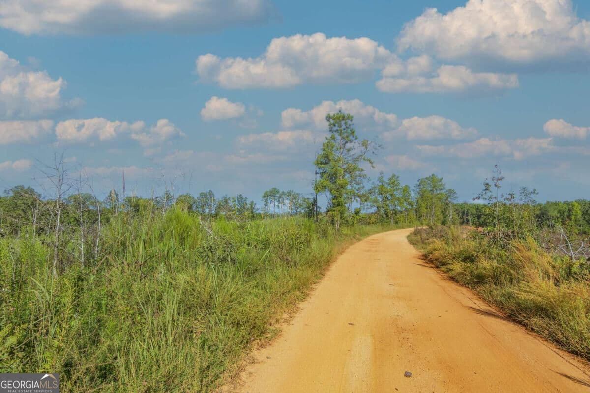 unimproved land for sale at TRACT 7 Carlisle Gap Road, Woodland, GA 31836 — photo 1 of 23