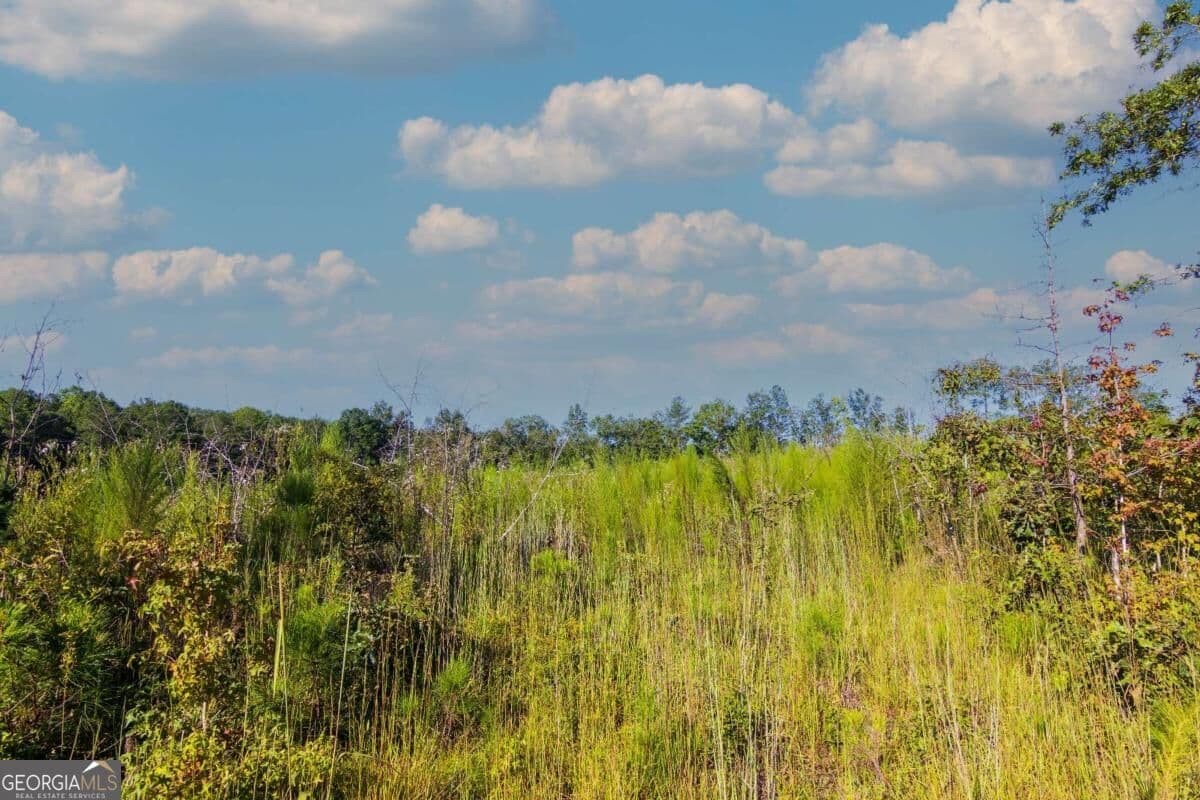 unimproved land for sale at TRACT 7 Carlisle Gap Road, Woodland, GA 31836 — photo 5