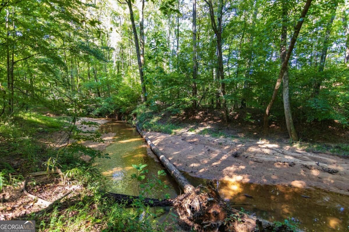 unimproved land for sale at TRACT 7 Carlisle Gap Road, Woodland, GA 31836 — photo 10