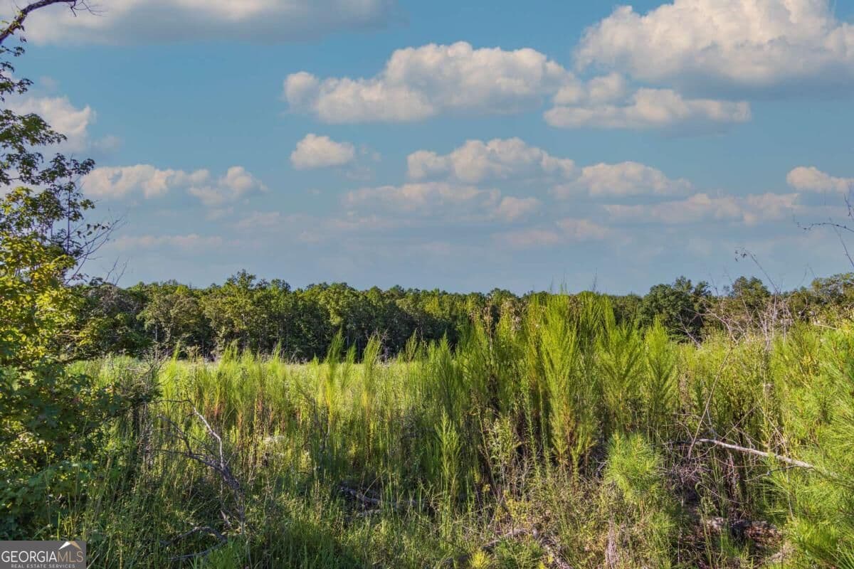 unimproved land for sale at TRACT 7 Carlisle Gap Road, Woodland, GA 31836 — photo 4