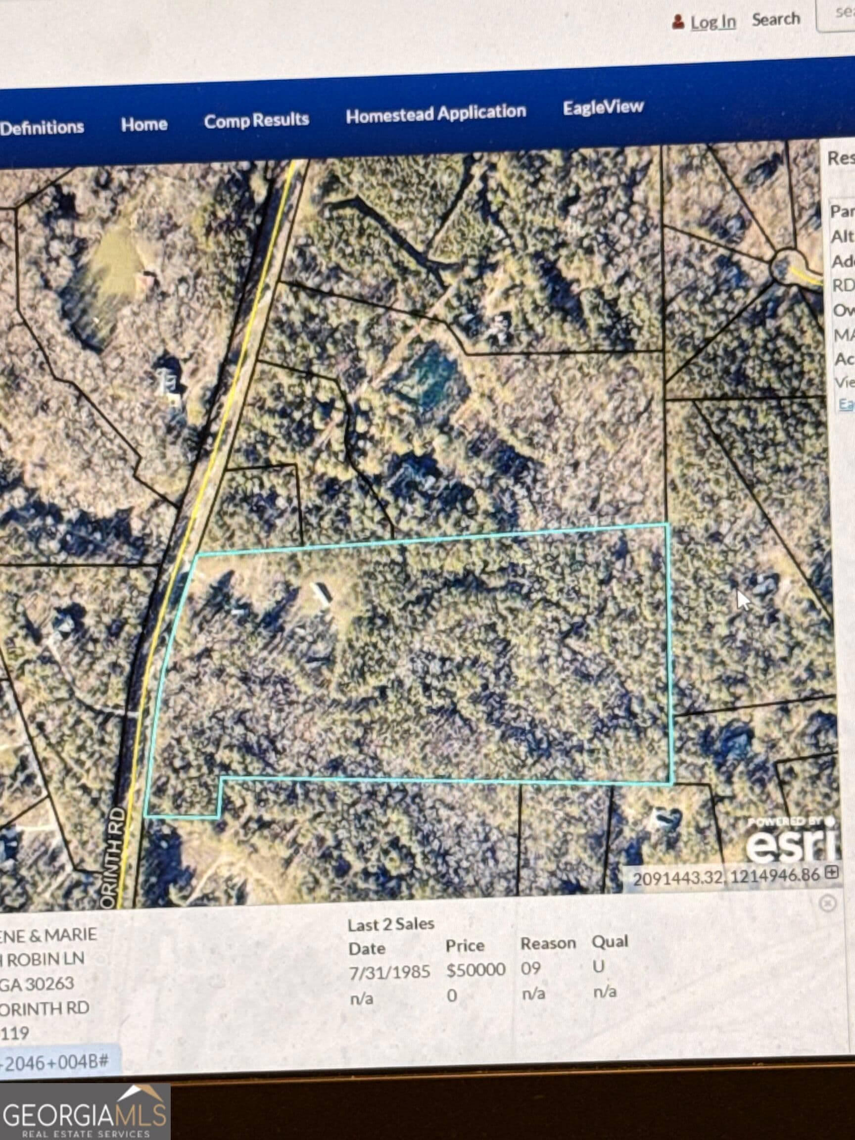 unimproved land for sale at 928 Old Corinth Road, Newnan, GA 30263 — photo 2