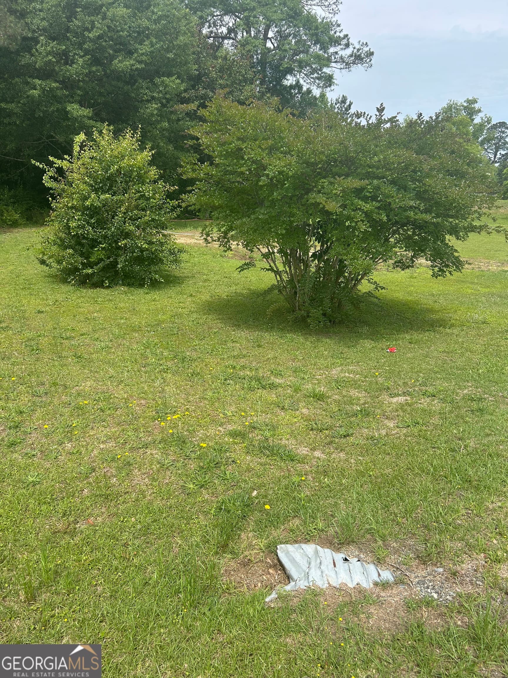agriculture for sale at 1277 GA HWY-112, Cochran, GA 31014 — photo 6