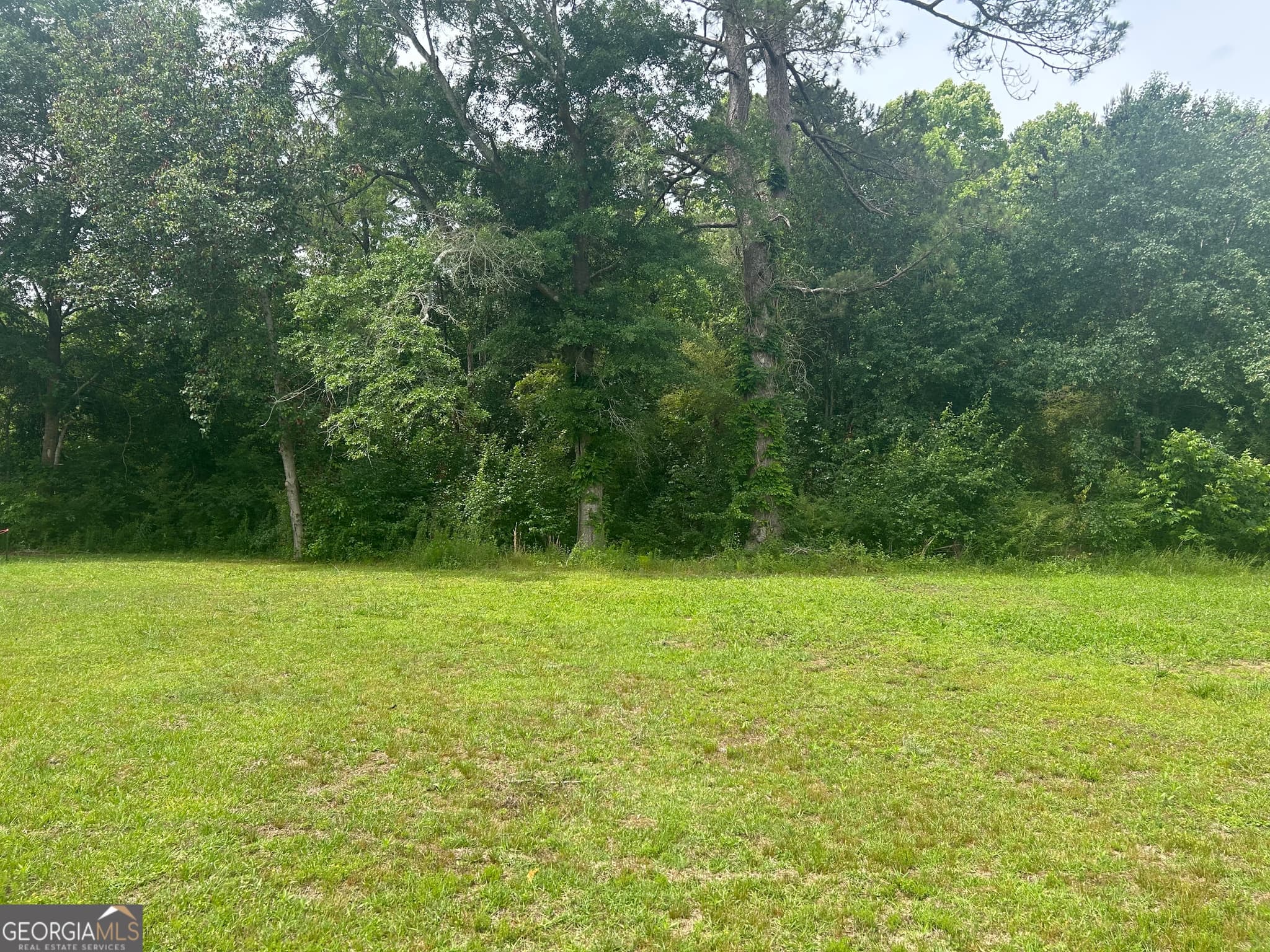 agriculture for sale at 1277 GA HWY-112, Cochran, GA 31014 — photo 3