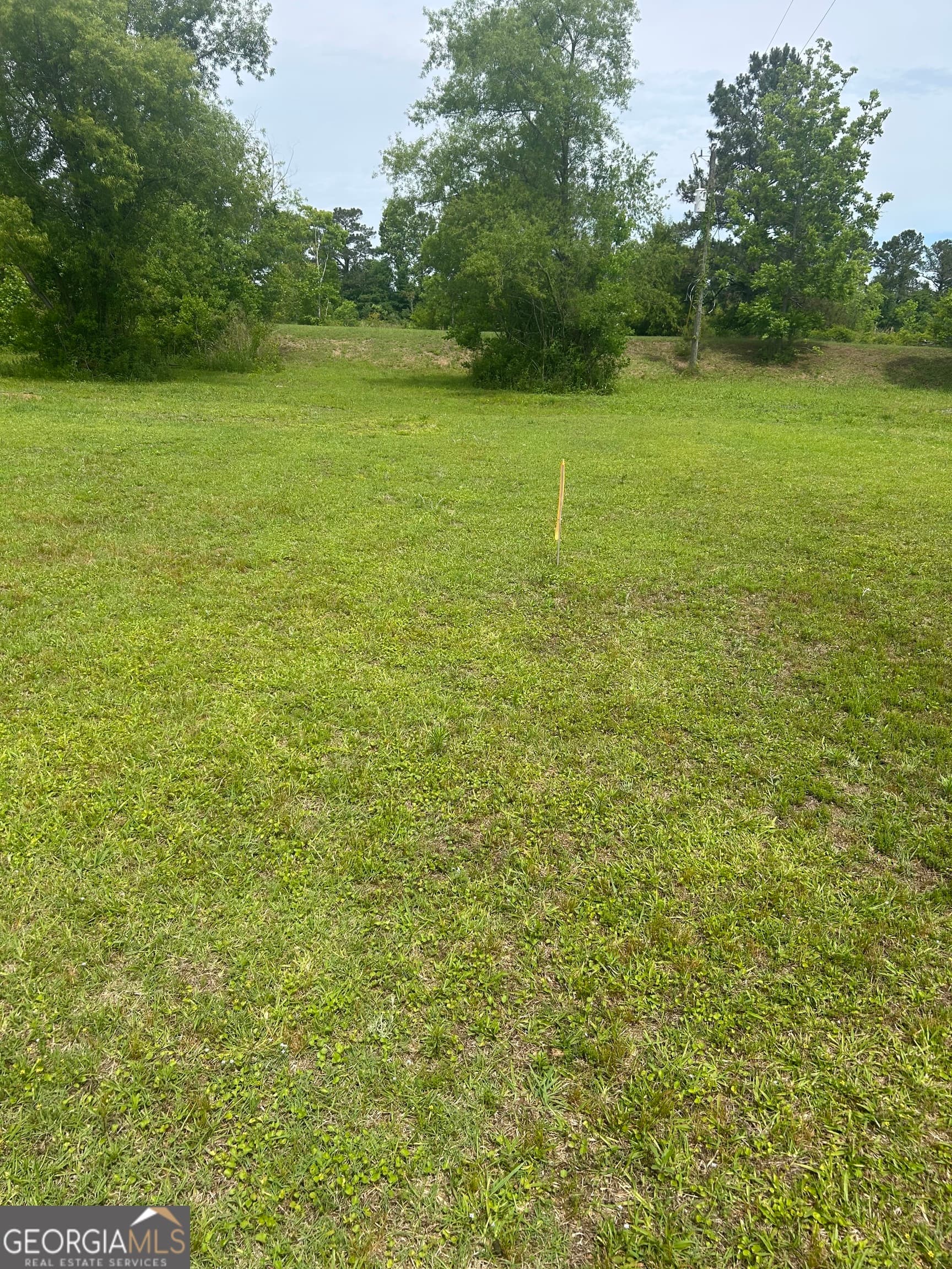 agriculture for sale at 1277 GA HWY-112, Cochran, GA 31014 — photo 4