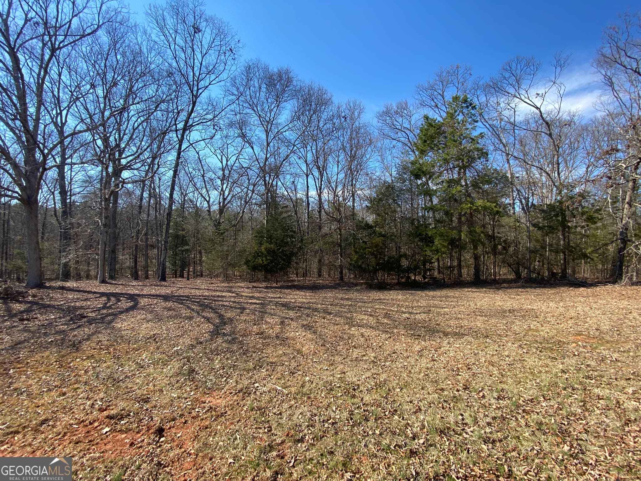 residential lot for sale at LOT 7 Majestic Shores Road, Hartwell, GA 30643 — photo 2
