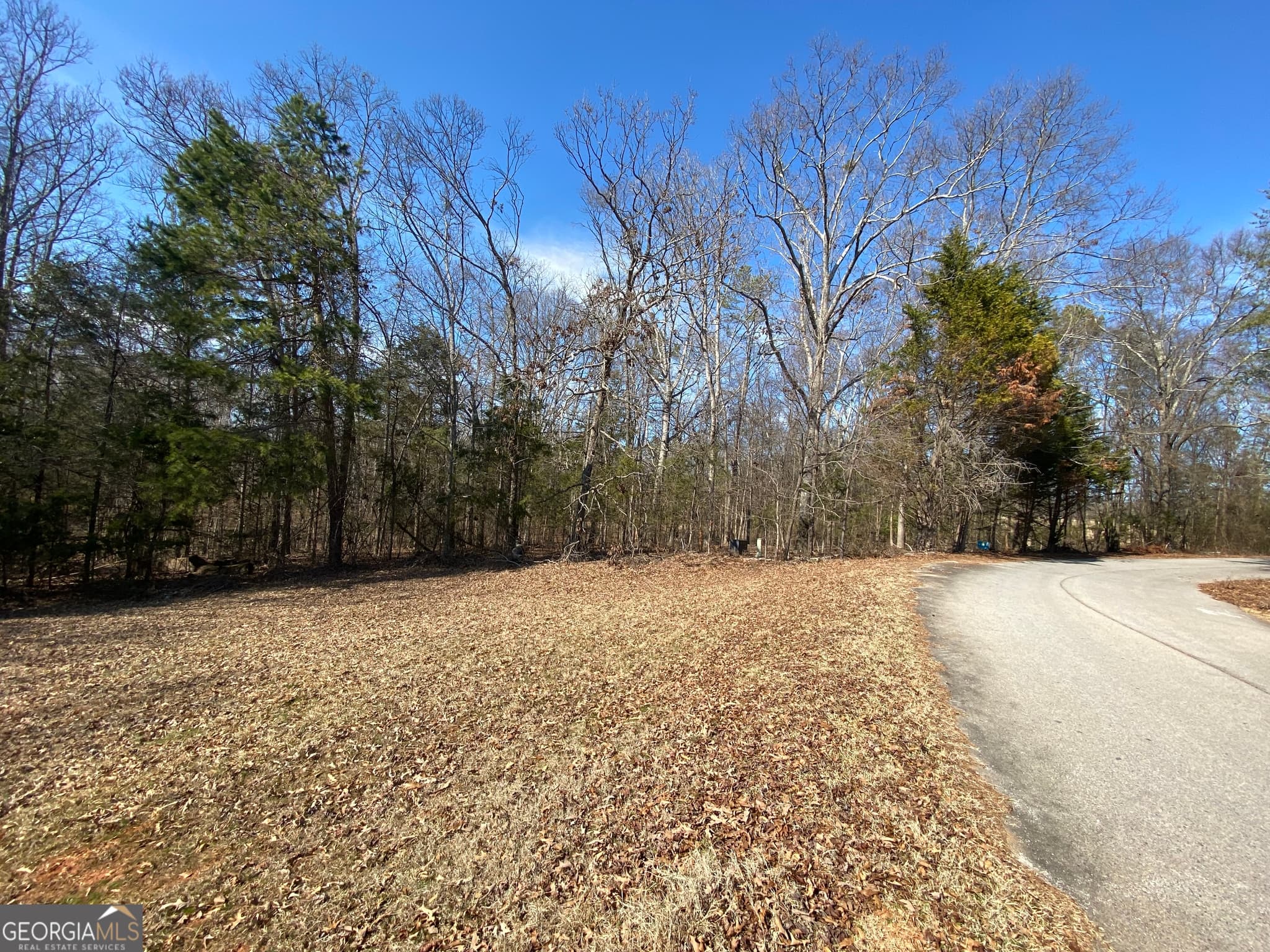 residential lot for sale at LOT 7 Majestic Shores Road, Hartwell, GA 30643 — photo 3
