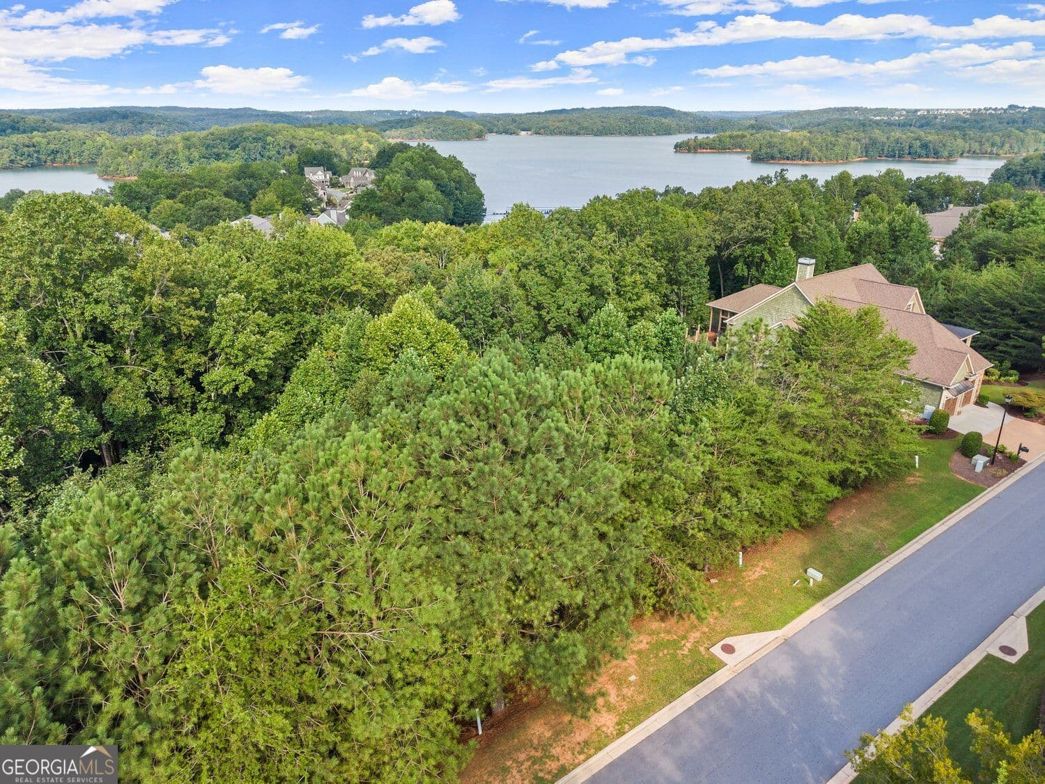 residential lot for sale at 3525 Water Front Drive, Gainesville, GA 30506 — photo 10