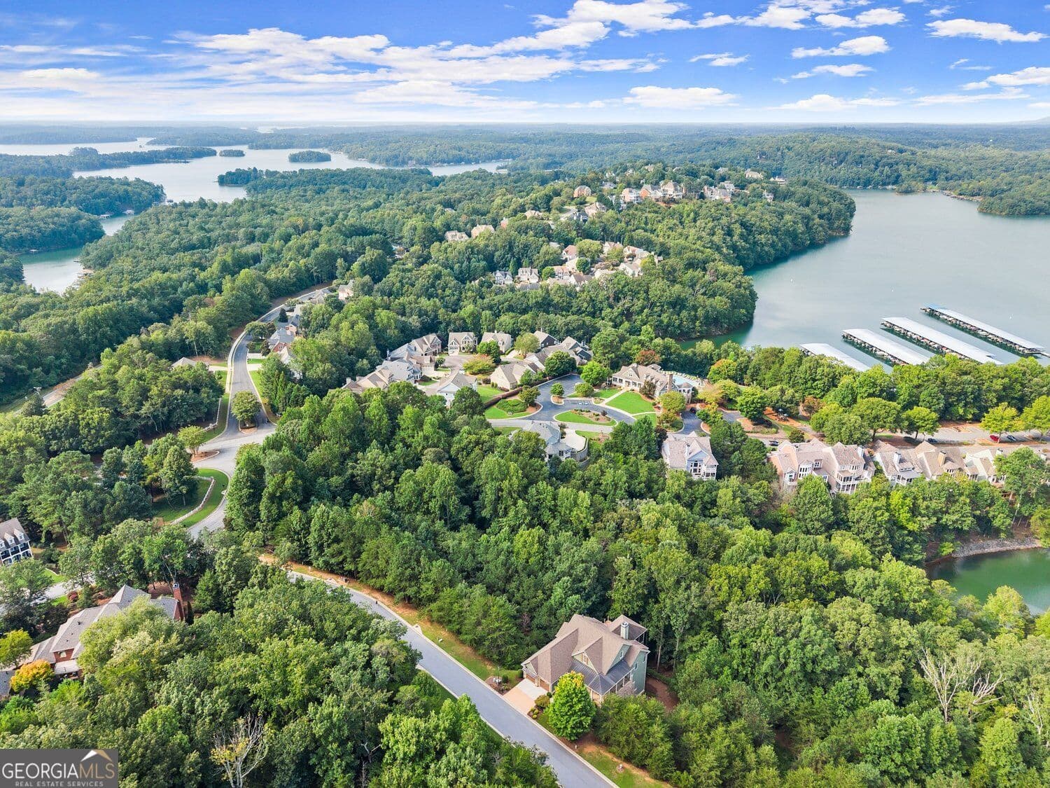 residential lot for sale at 3525 Water Front Drive, Gainesville, GA 30506 — photo 8