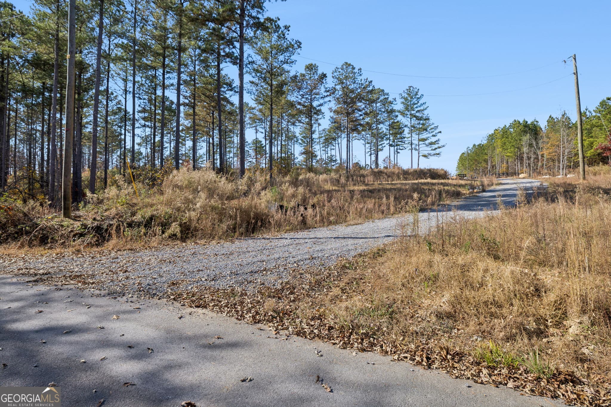agriculture for sale at 0 Sand Pit Road, Summerville, GA 30747 — photo 2