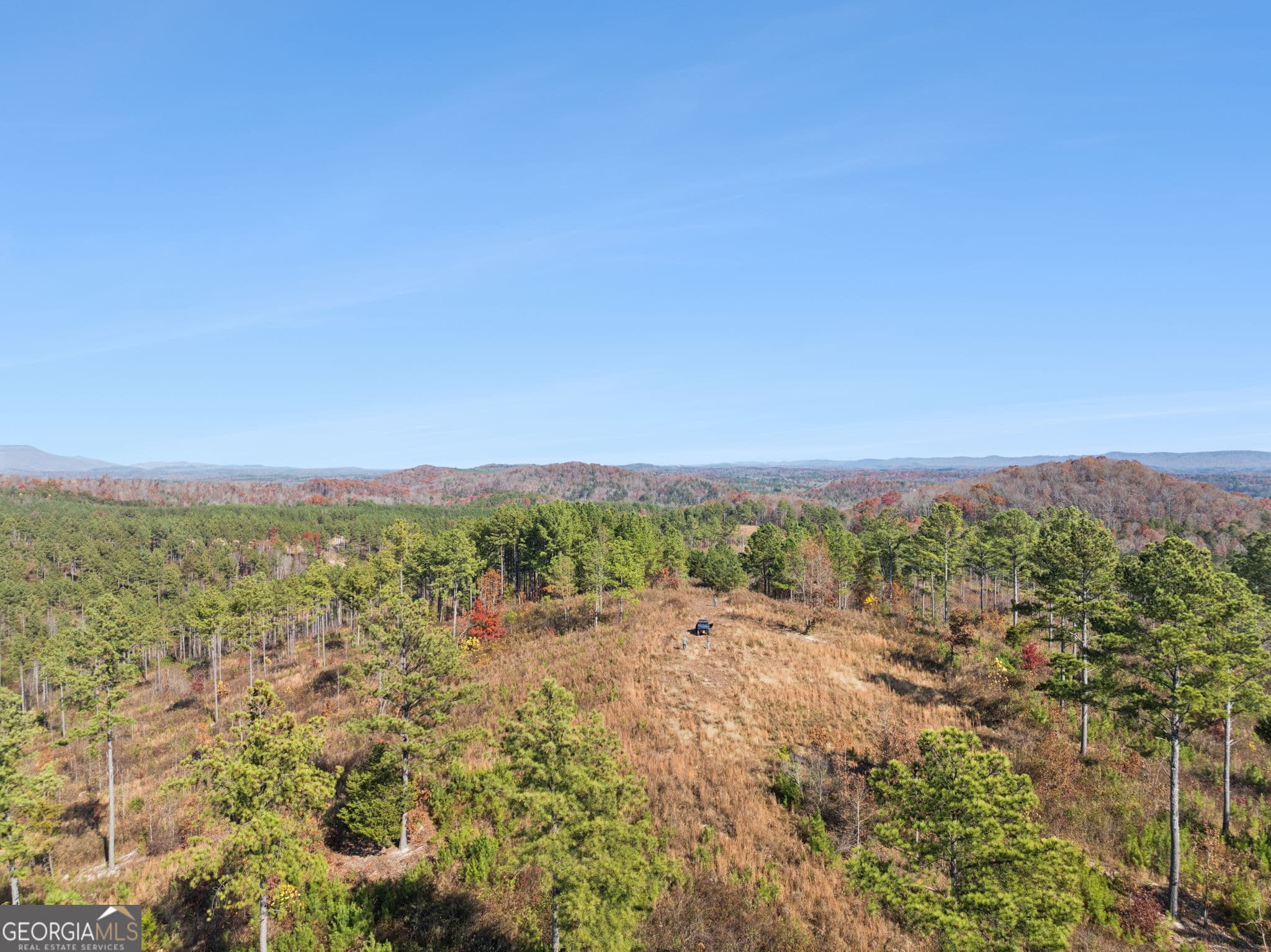agriculture for sale at 0 Sand Pit Road, Summerville, GA 30747 — photo 6