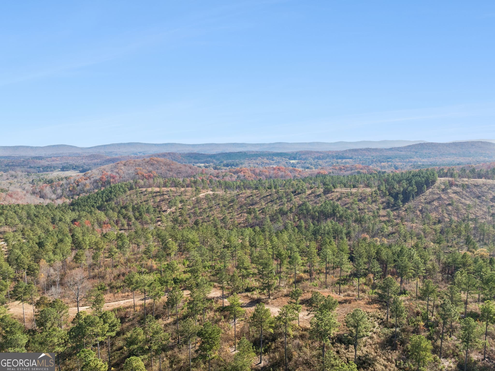 agriculture for sale at 0 Sand Pit Road, Summerville, GA 30747 — photo 7