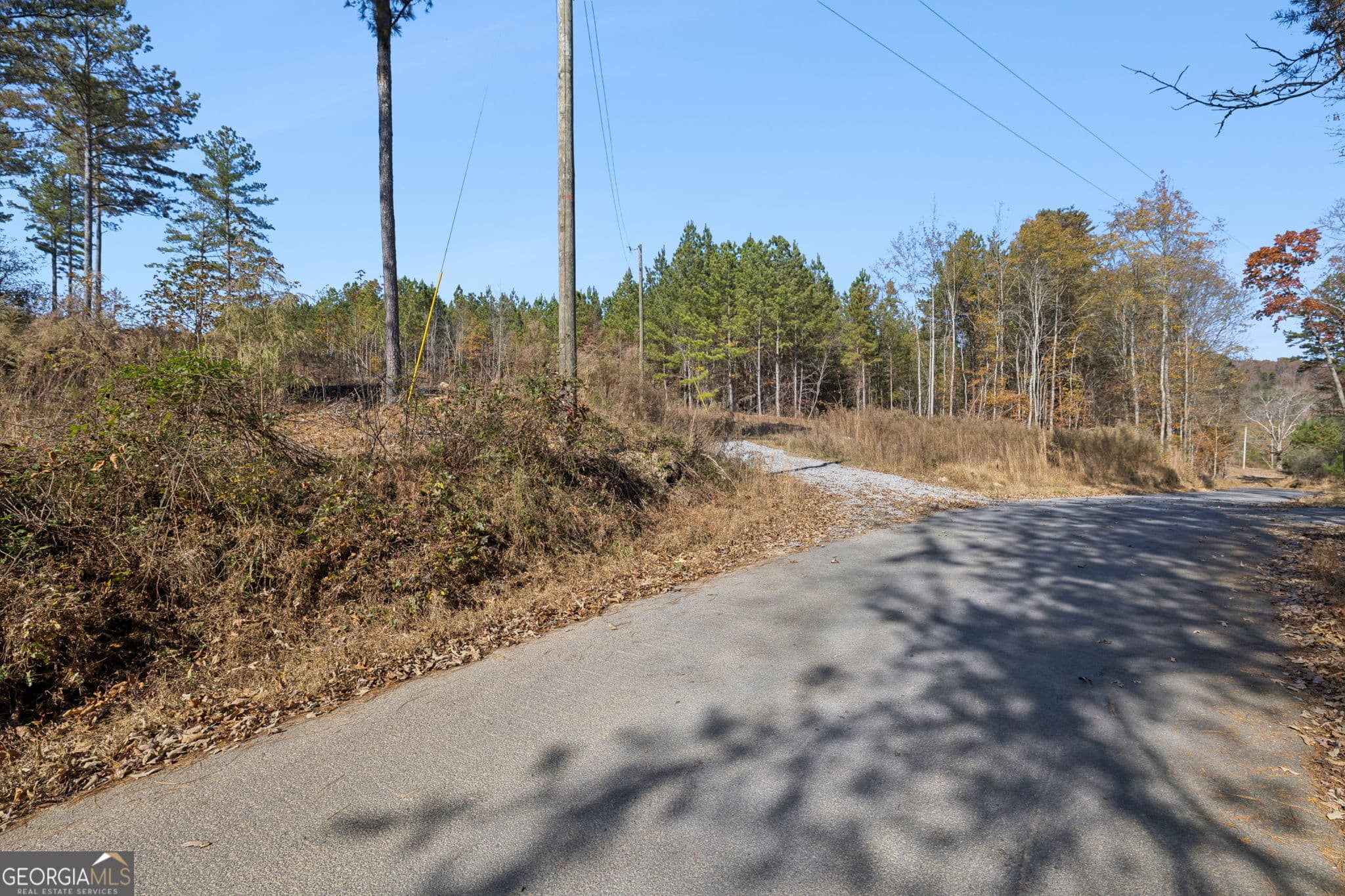 agriculture for sale at 0 Sand Pit Road, Summerville, GA 30747 — photo 3