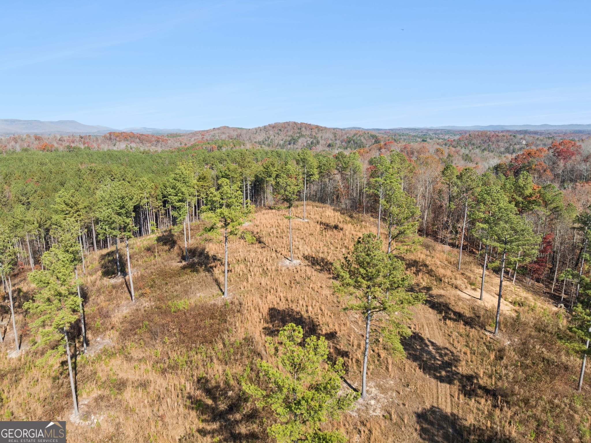 agriculture for sale at 0 Sand Pit Road, Summerville, GA 30747 — photo 1 of 53