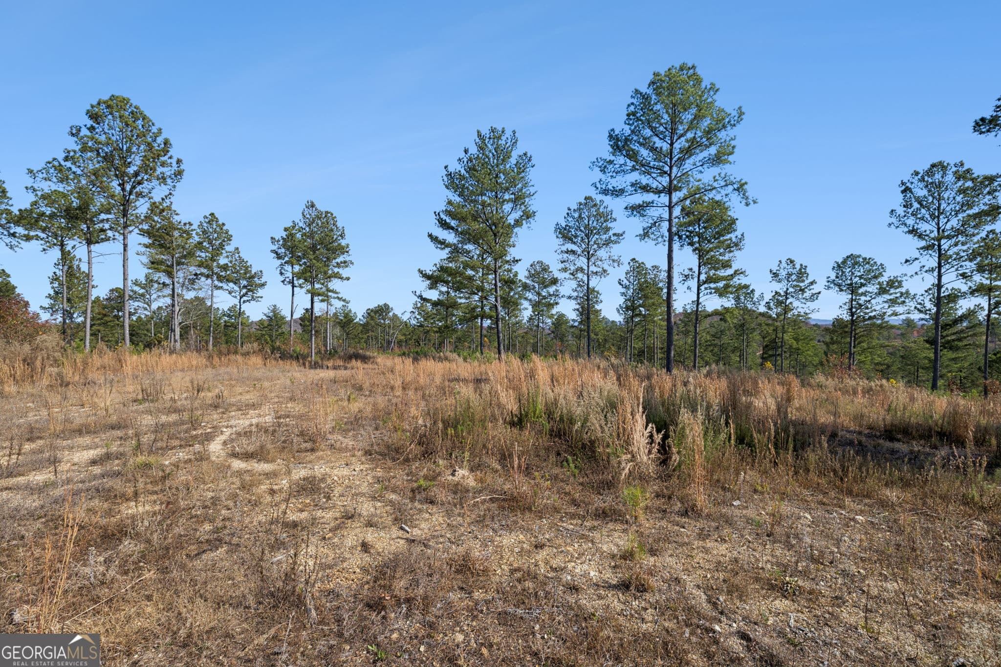 agriculture for sale at 0 Sand Pit Road, Summerville, GA 30747 — photo 9