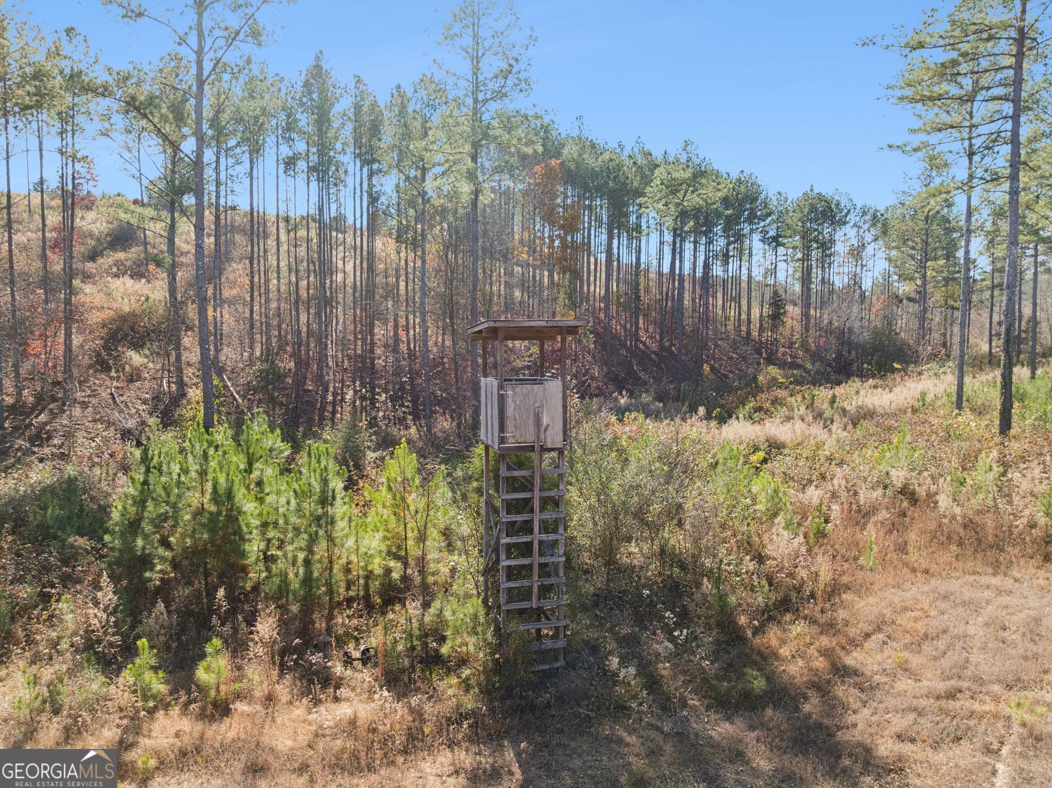 agriculture for sale at 0 Sand Pit Road, Summerville, GA 30747 — photo 4