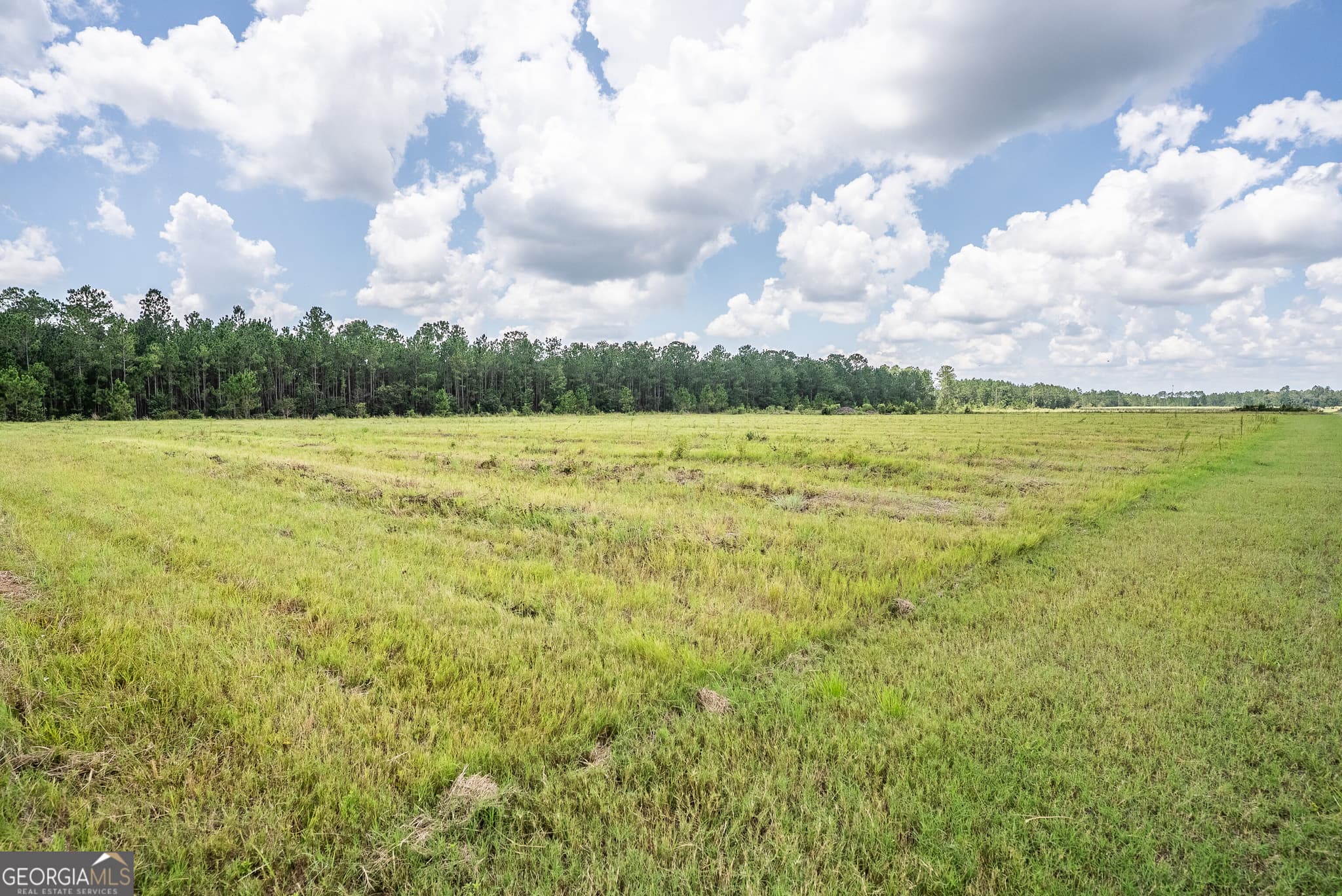 agriculture for sale at 930 Old Surrency Road, Baxley, GA 31513 — photo 6