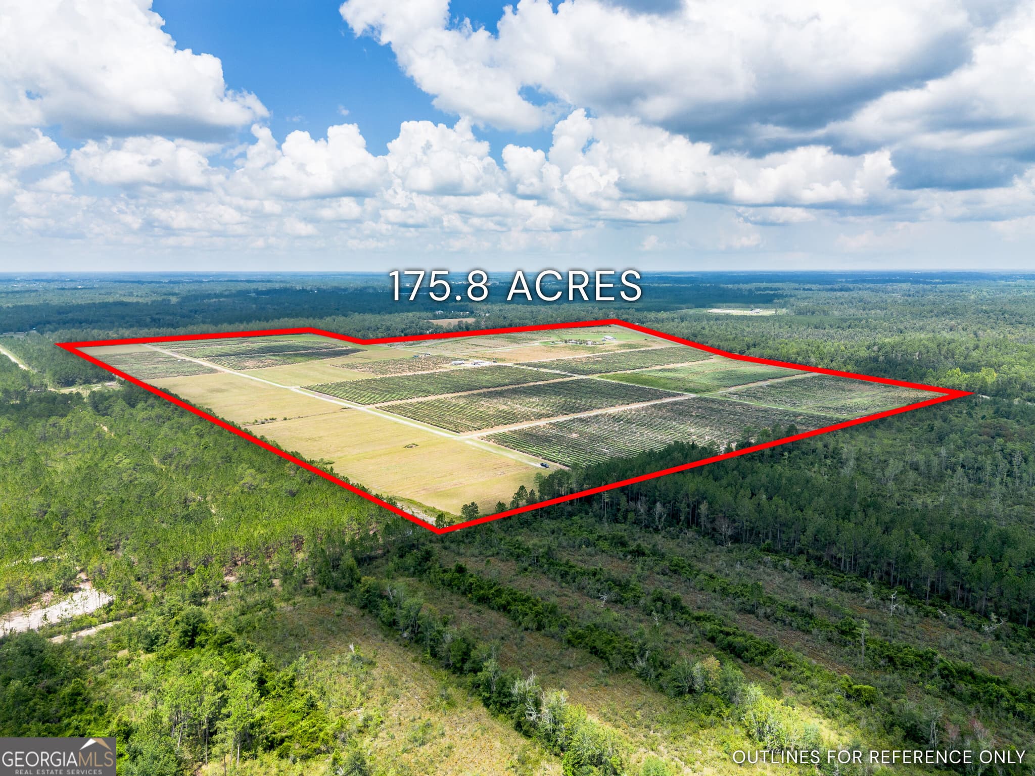 agriculture for sale at 930 Old Surrency Road, Baxley, GA 31513