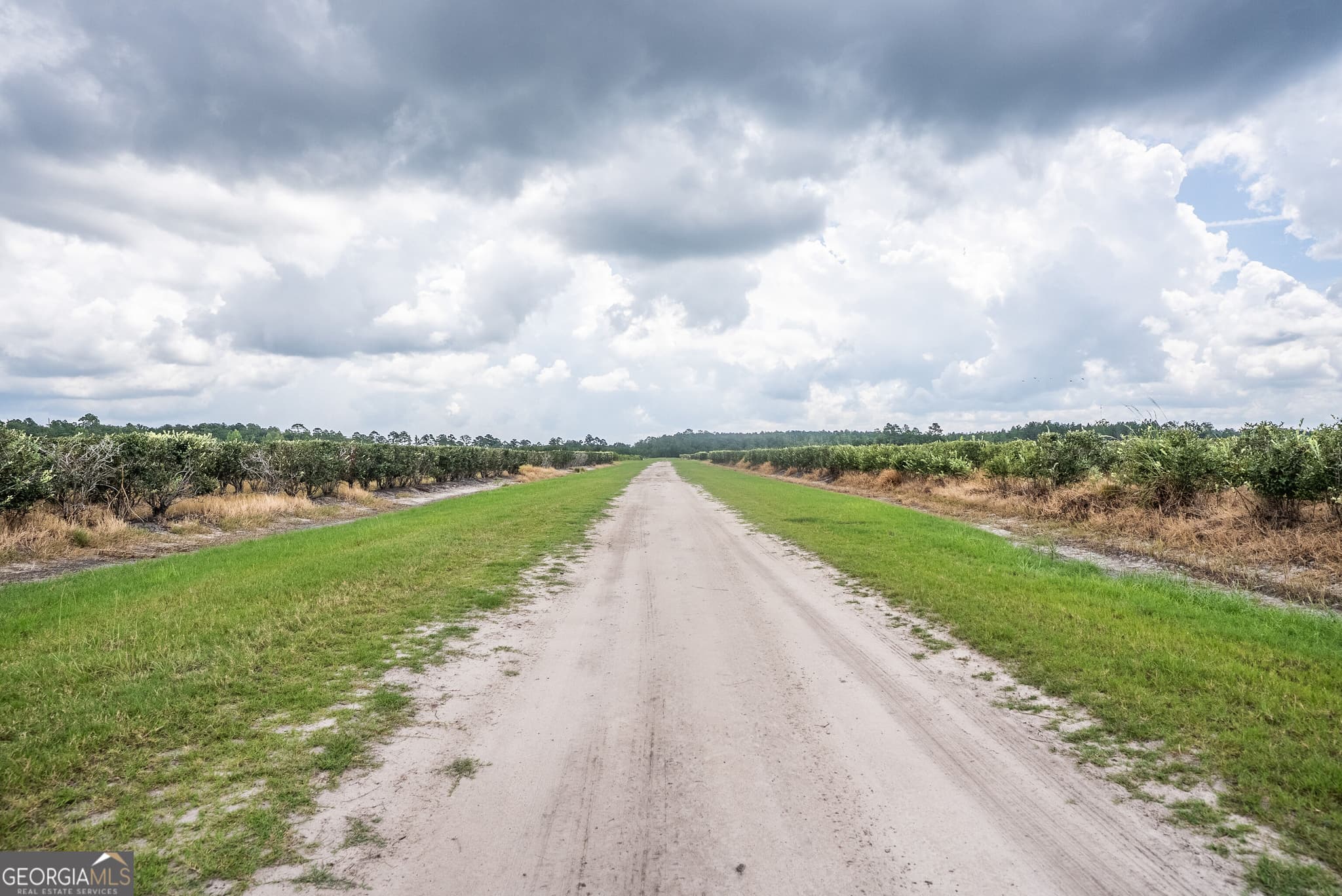 agriculture for sale at 930 Old Surrency Road, Baxley, GA 31513 — photo 10