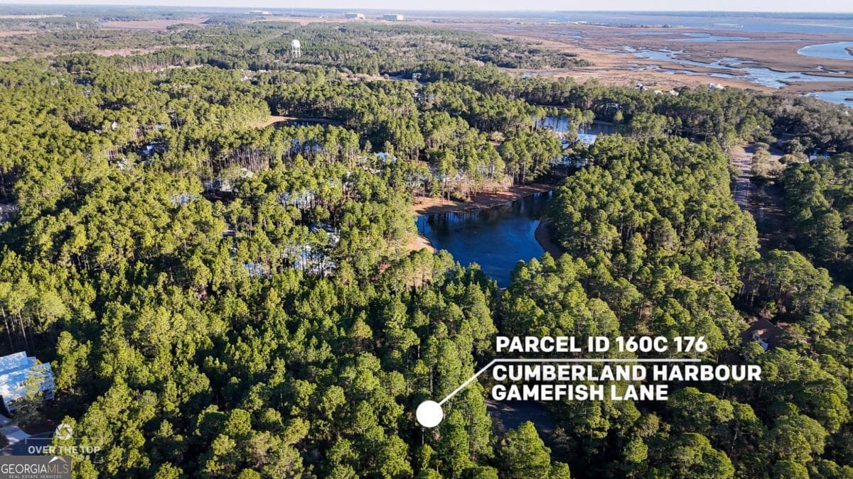 residential lot for sale at V/L 176 Gamefish Lane, St. Marys, GA 31558 — photo 2